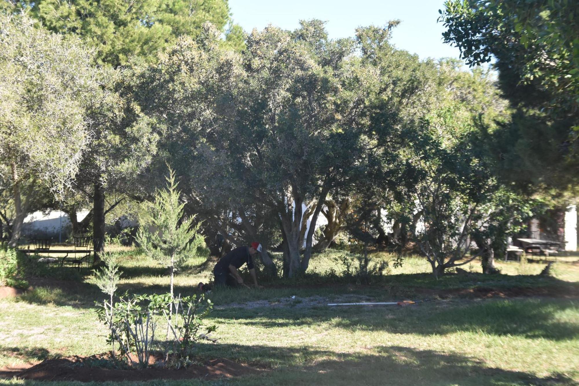 Готель Domaine De L'Arganeraie Ghazoua Екстер'єр фото